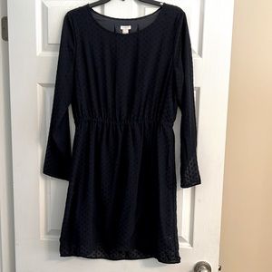 Jcrew Navy dotted dress